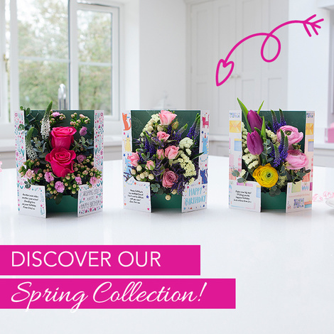 Large_fc_01_spring_2021