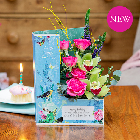 Large_fc_04_spring_2021_tropical_birthday_fl159443