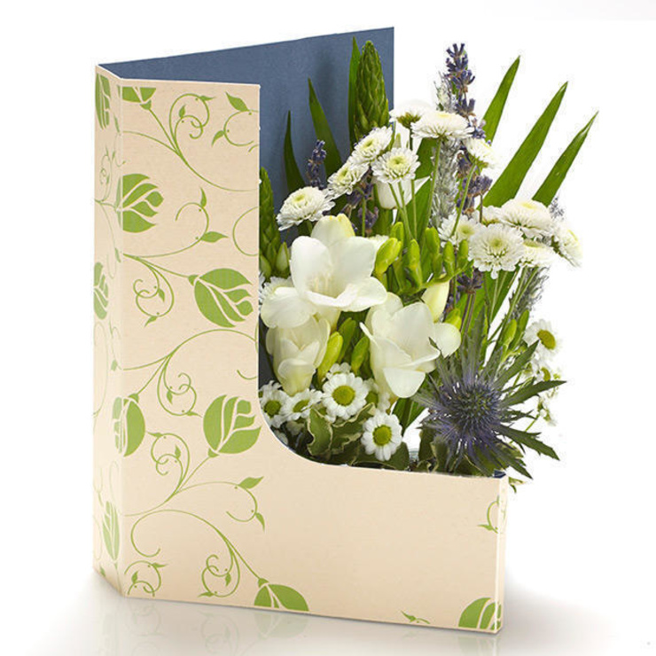 CG Freesia Cream CG Freesia Cream