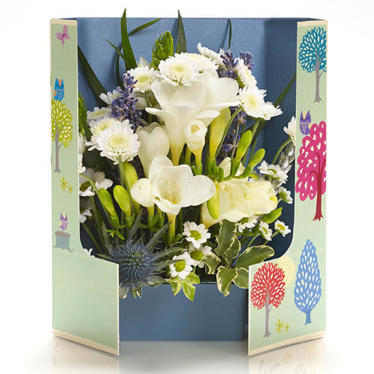 TT Freesia Cream TT Freesia Cream