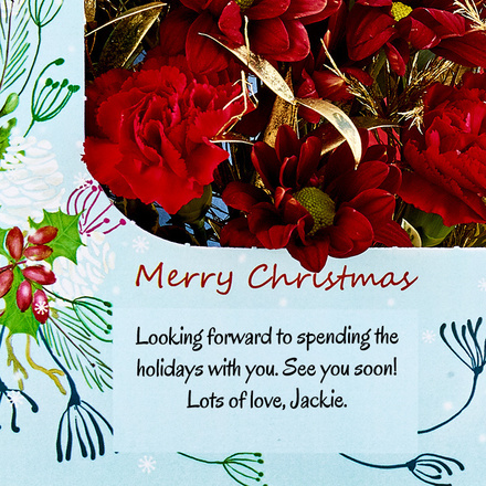 Christmas Carnation Christmas Carnation