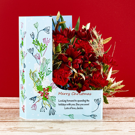 Christmas Carnation Christmas Carnation