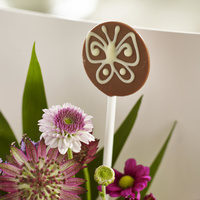 Chocolate Lollipop Chocolate Lollipop