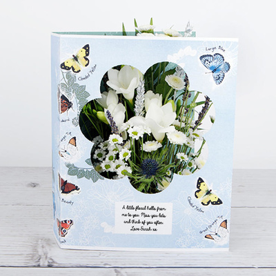 Image of Garden Dance