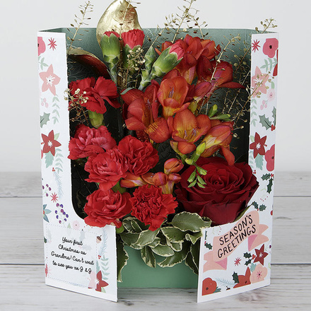 Freesia Gold Freesia Gold