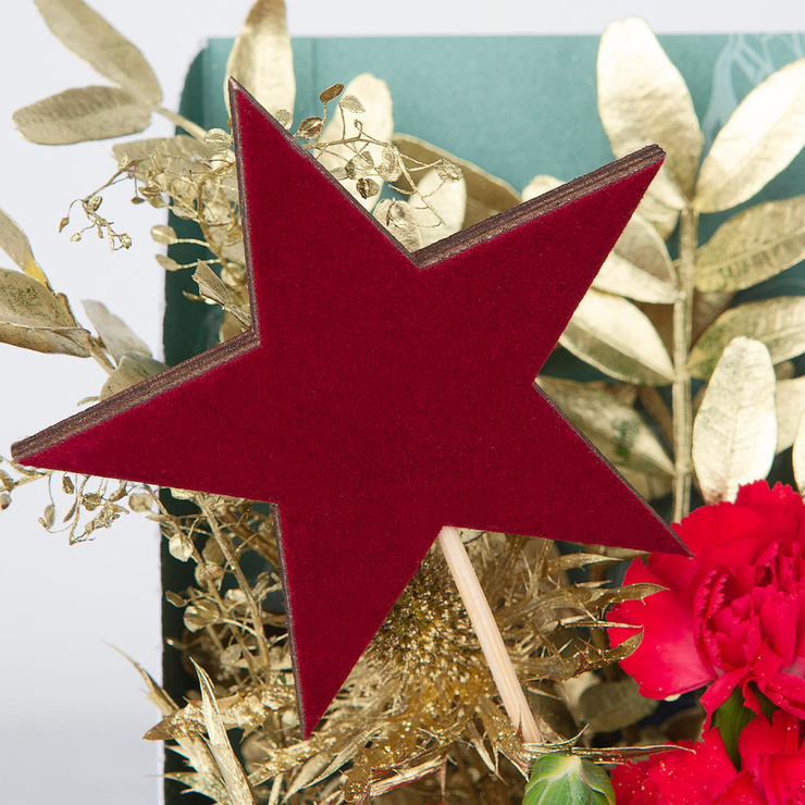 Christmas Star Decoration Christmas Star Decoration