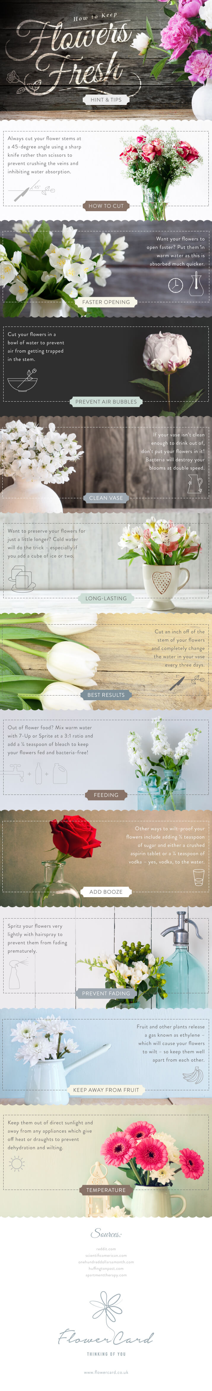 How To Keep Flowers Fresh For Longer — Flowercard Thinking of You
